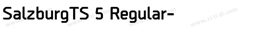 SalzburgTS 5 Regular字体转换